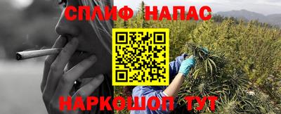 твердый Новокубанск