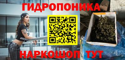 твердый Новокубанск