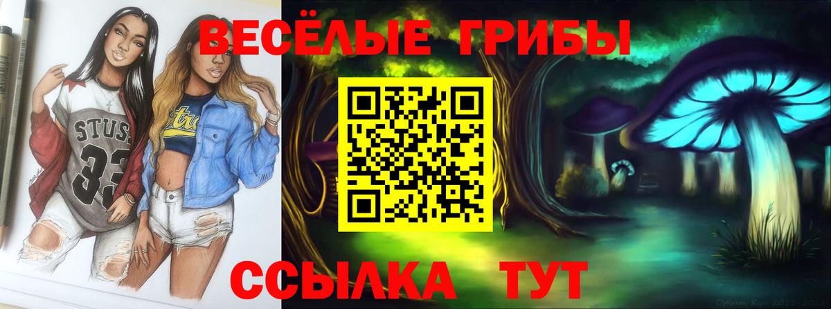 Псилоцибиновые грибы Psilocybe Старая Купавна