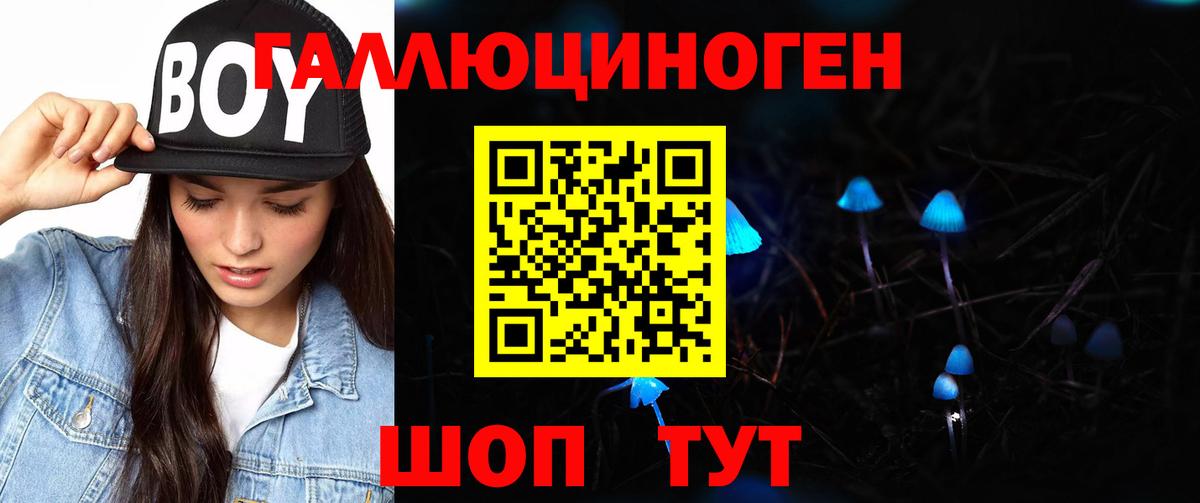 Старая Купавна  Галлюциногенные грибы Cubensis  Вход с VPN 